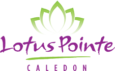 Lotus Pointe